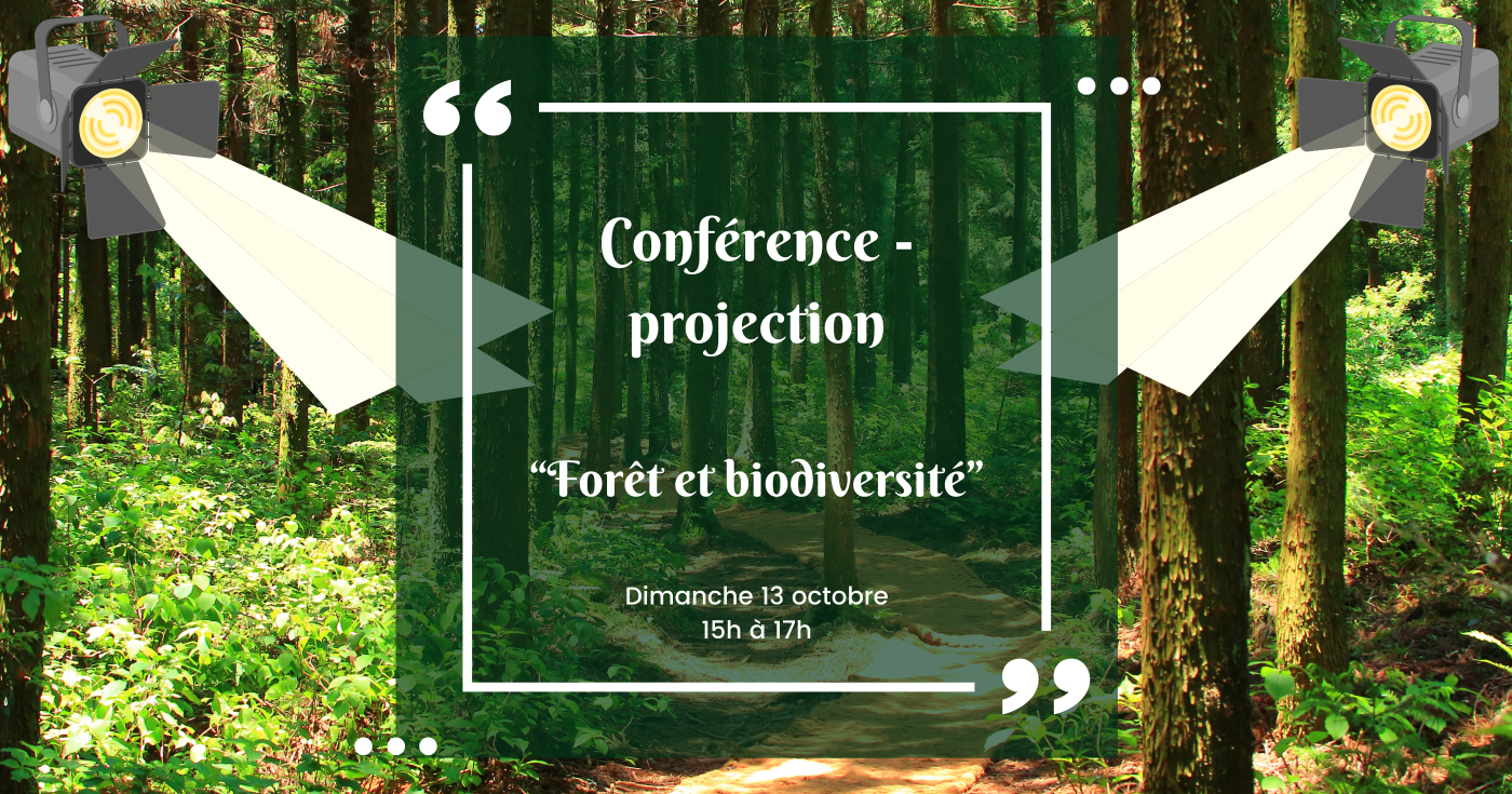 Conférence – projection 