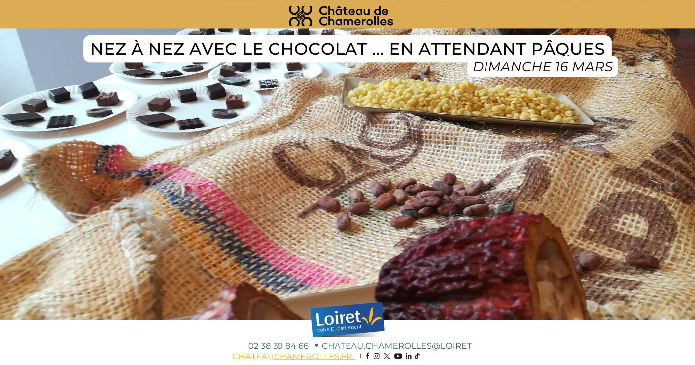 Nez à nez avec le chocolat